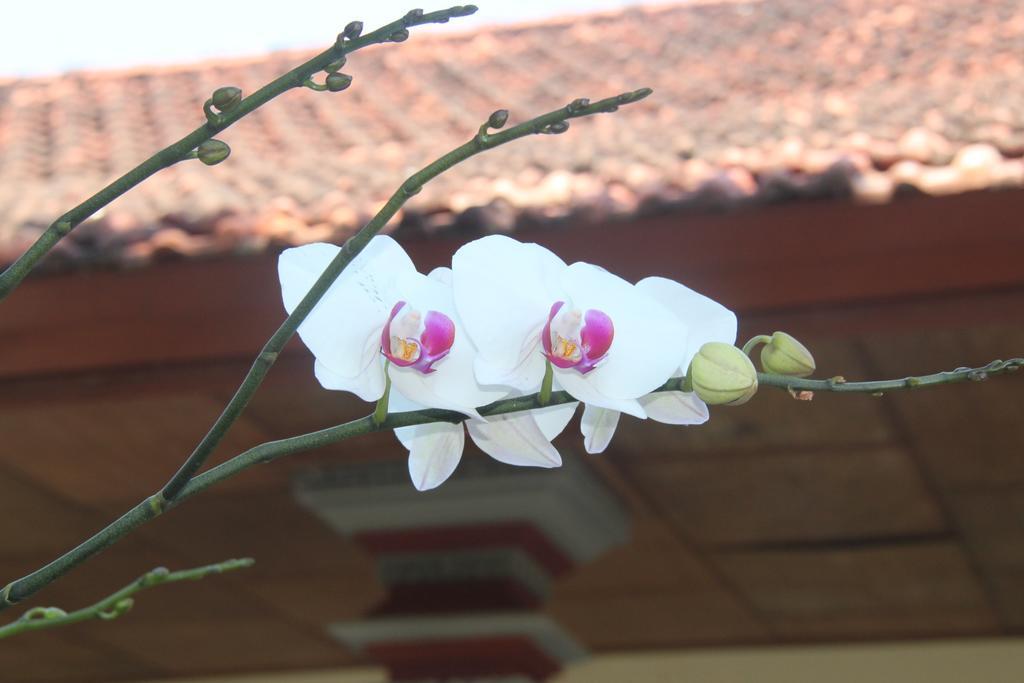 Pondok Hasan Nusa Dua (Bali) Exterior foto