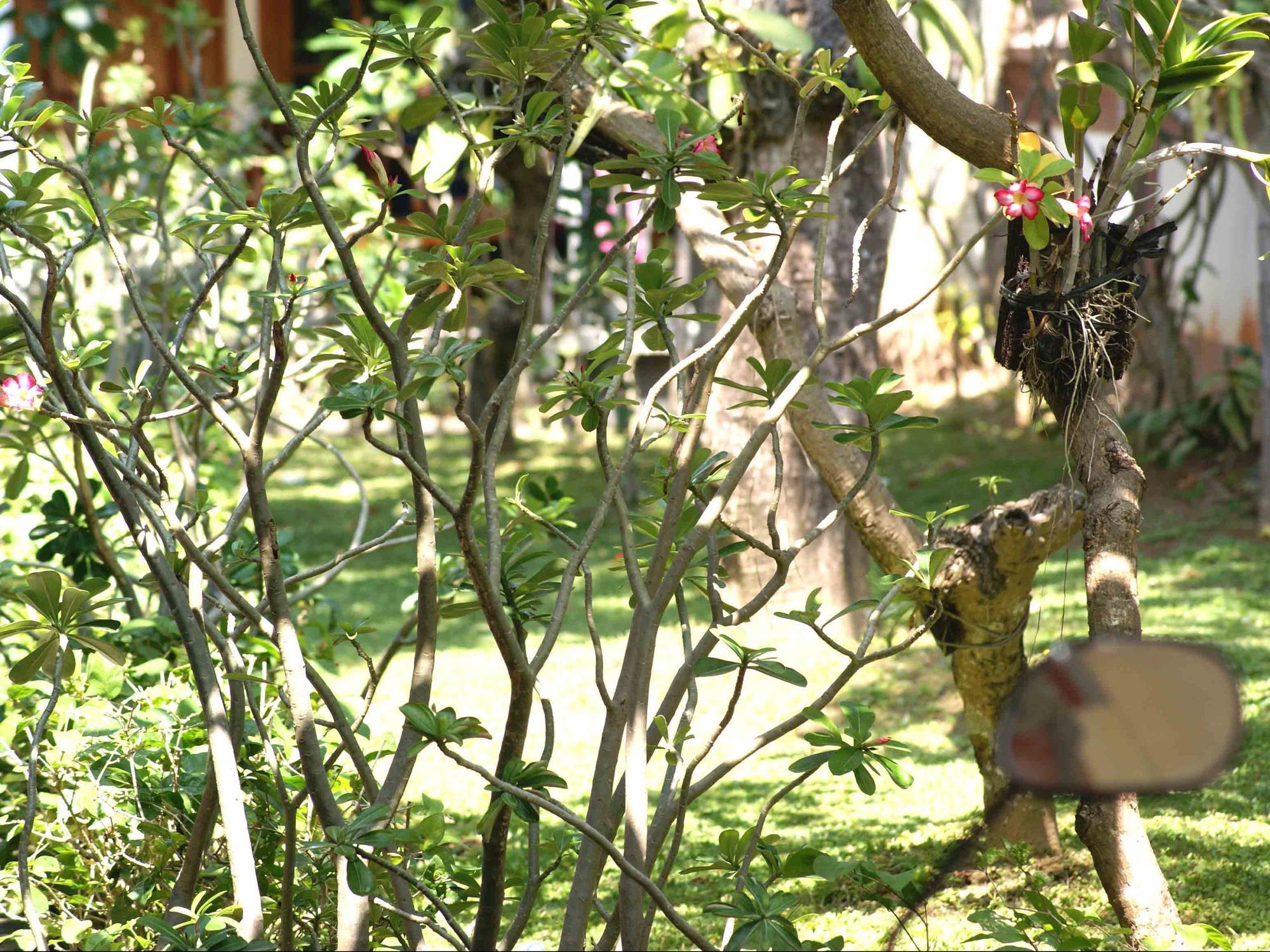 Pondok Hasan Nusa Dua (Bali) Exterior foto