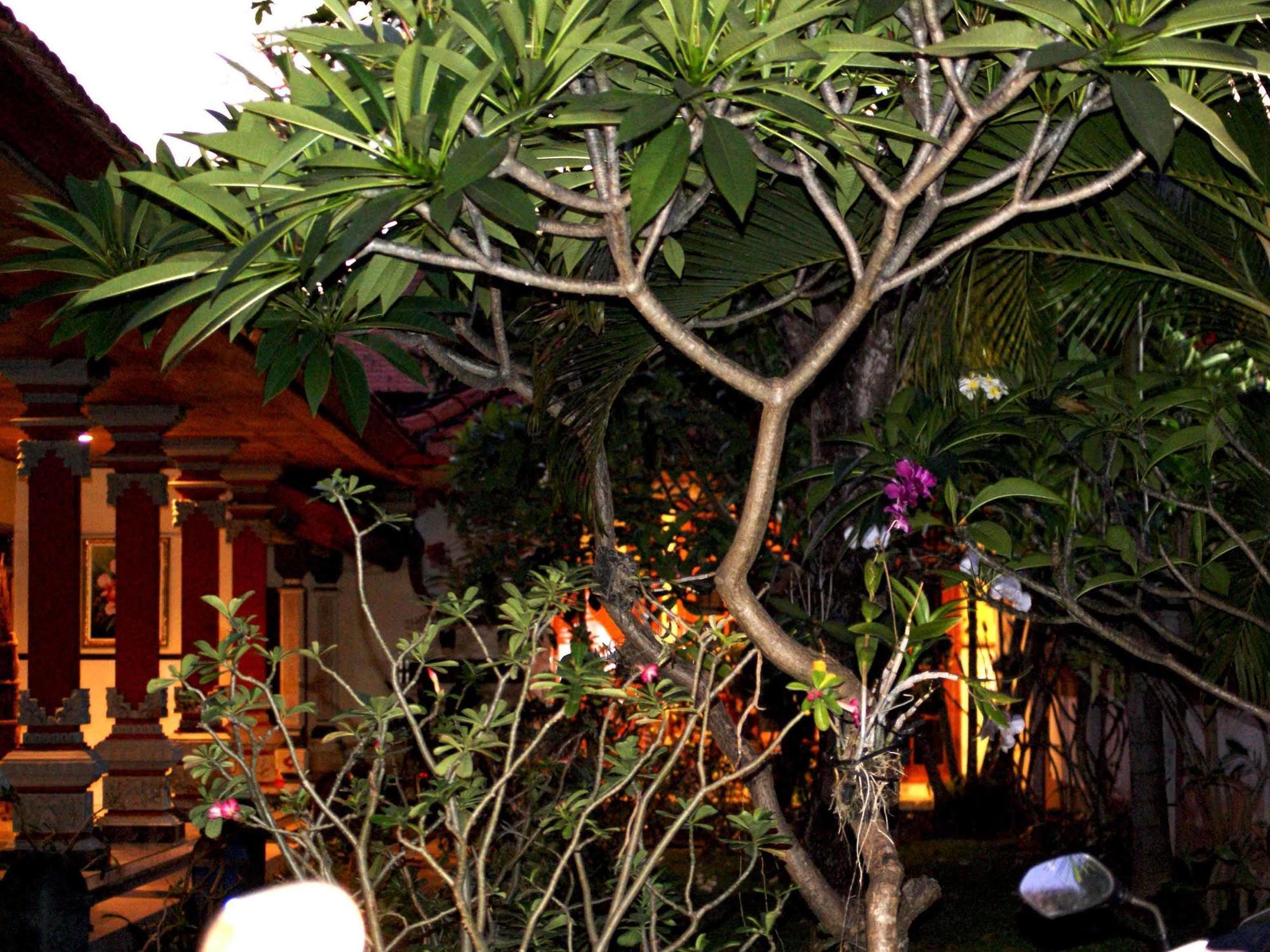 Pondok Hasan Nusa Dua (Bali) Exterior foto